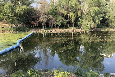 自然河道消除黑臭-江蘇省鎮(zhèn)江市潤州區(qū)頭道河北段