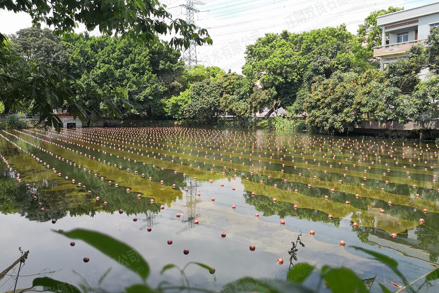 未截污坑塘池塘消除黑臭-廣東省東莞市滘聯(lián)社區(qū)劉屋景觀塘