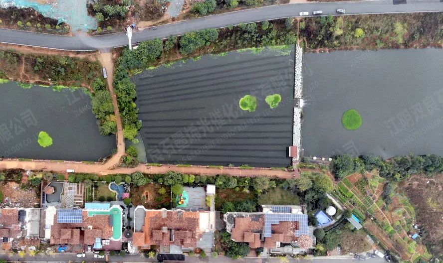 湖南省長(zhǎng)沙市楚家湖河道治理水質(zhì)提升