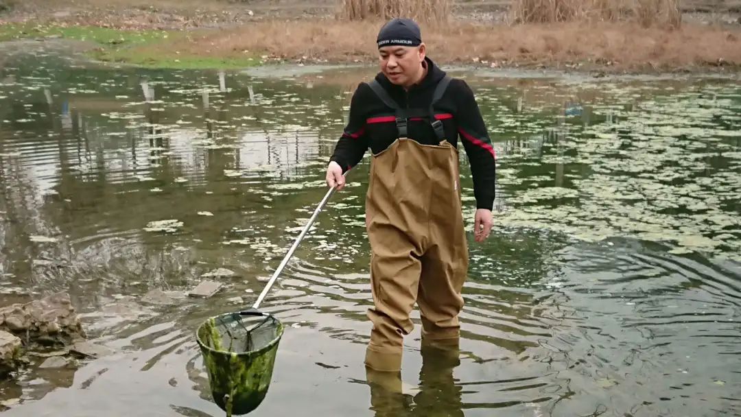 “營銷排頭兵”朱宏芳