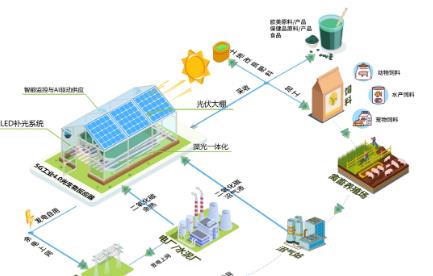 微藻碳中和——藻光一體化解決方案