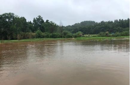 城市河湖水環(huán)境污染問題愈加突出