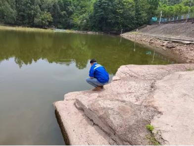 雙良河道治理剛搞完