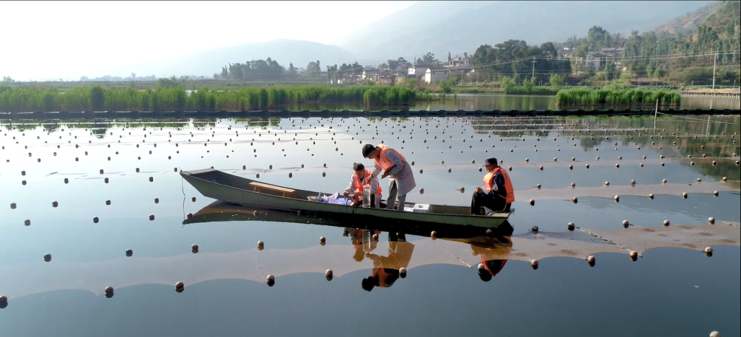 巡河并調(diào)研病險(xiǎn)水庫、農(nóng)村污水治理工程