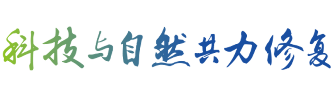 城鎮(zhèn)生活污水處理水環(huán)境治理與修復(fù)