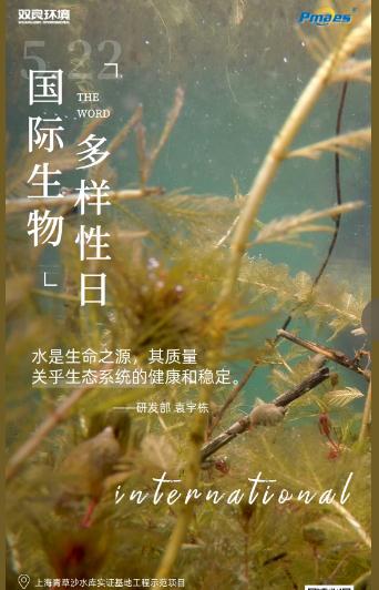 5.22生物多樣性日｜共護(hù)碧水清波，共建和諧生態(tài)！