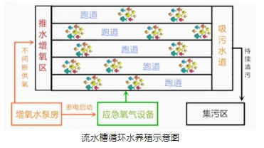 科普小課堂第61期丨池塘和工廠化集約化設(shè)施漁業(yè)養(yǎng)殖場