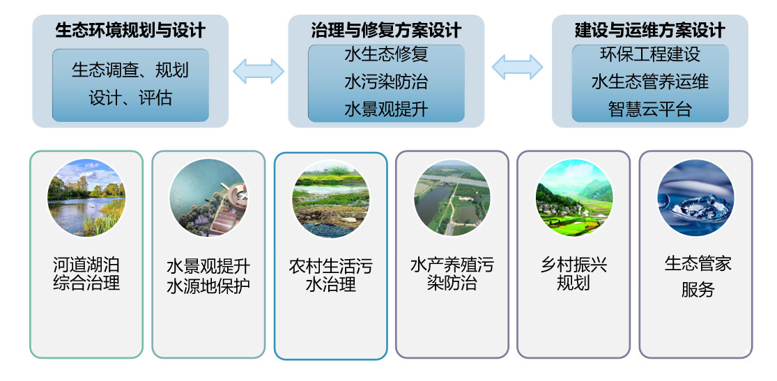 組織架構(gòu)